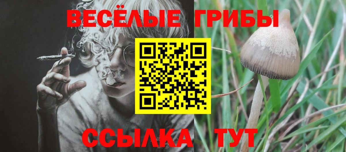 Галлюциногенные грибы мухоморы  Вход с VPN  Псилоцибиновые грибы мухоморы  Минусинск 